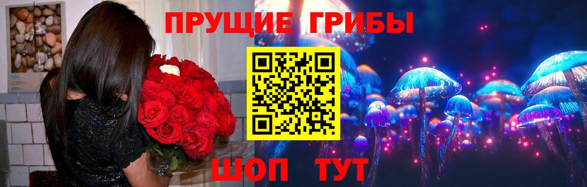 Егорьевск  Галлюциногенные грибы Psilocybine cubensis  Вход с VPN 